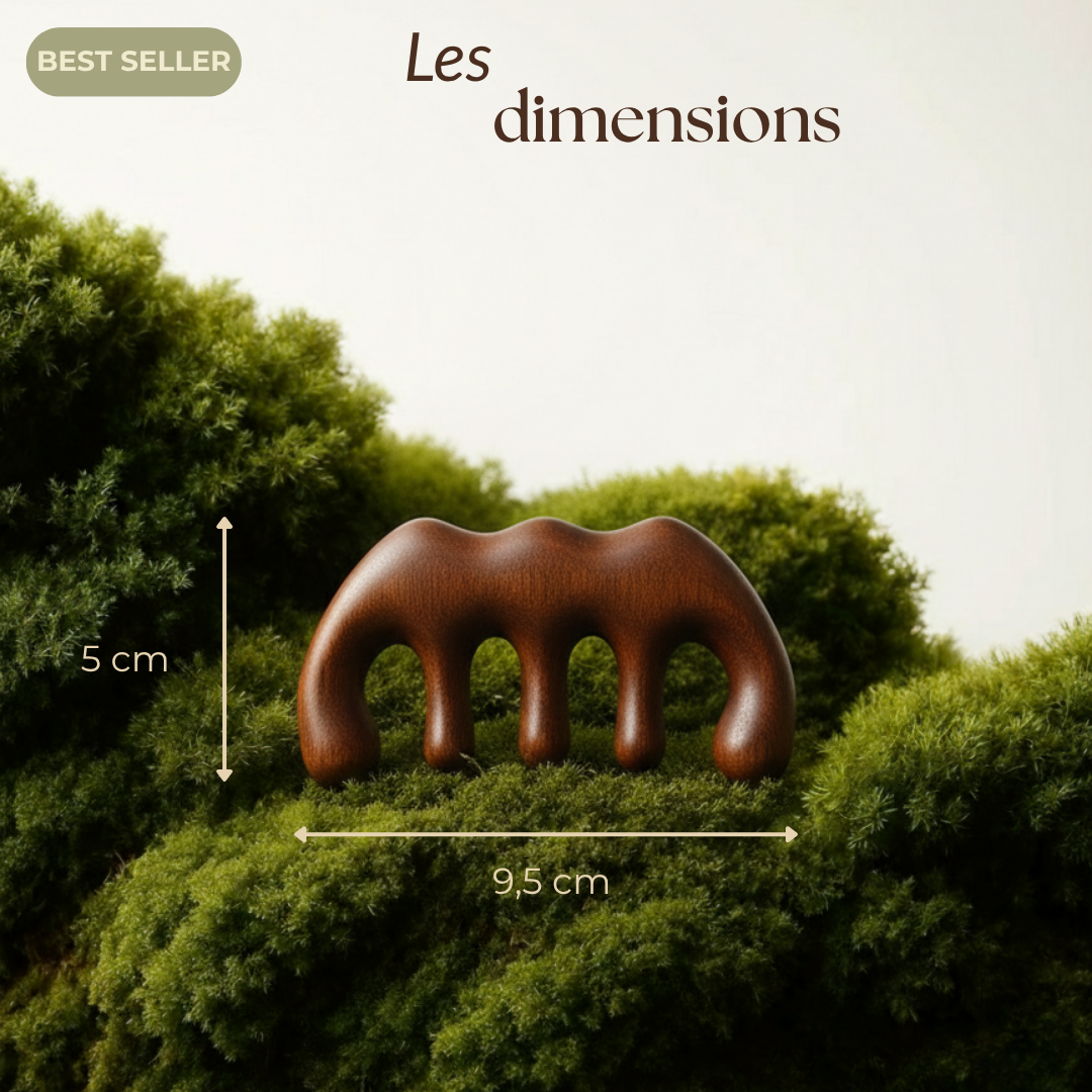 Peigne rituel en bois de Santal