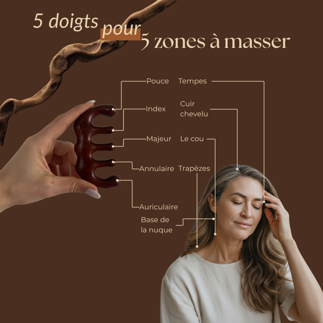 Guide d'utilisation